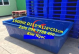 Nơi bán thùng nhựa nuôi cá 1000 lít tại hồ chí minh - 0967788450 Ngọc