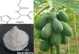 Biogreen cung cấp Enzym papain (CAS 9001-73-4) chất lượng cao, giá cả phải chăng và số lượng lớn