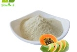 Bán nguyên liệu enzyme Papain | Papaya latex extract 6000 USP/mg