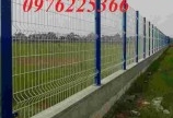Mẫu hàng rào lưới thép Đẹp - Bền -Giá rẻ 