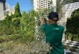 Tuyển LĐPT chăm cây cảnh & thi công công trình cây xanh làm Đà Nẵng